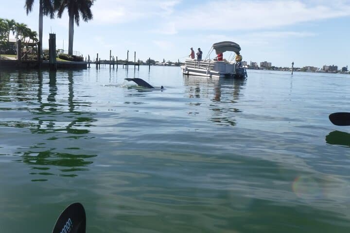 Sunset Kayak Tour in Pelican Bay — Fort Myers Beach Mangrove Paddle photo 5