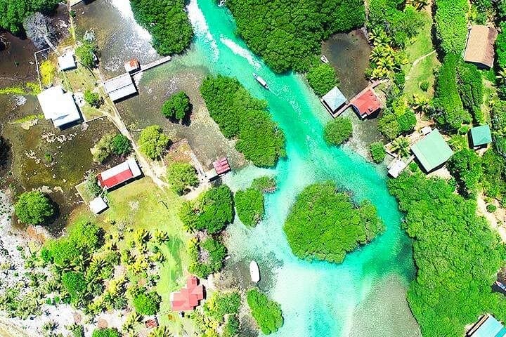 Private 5-Day Eastern Roatan Tour — Mangroves, Snorkeling & Garifuna Culture photo 2