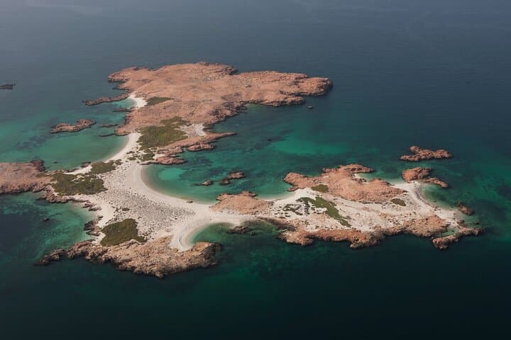 Daymaniyat Islands Dolphin & Whale Watching Cruise from Marina Bandar Al Rowdha photo 5