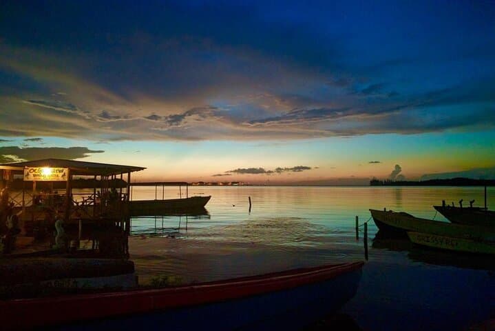 Luminous Lagoon Night Swim from Montego Bay — Bioluminescent Experience in Falmouth