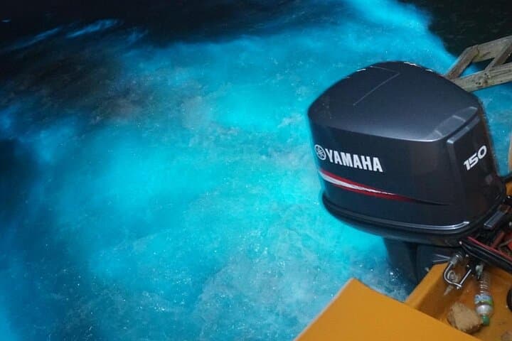 Luminous Lagoon Night Swim from Montego Bay — Bioluminescent Experience in Falmouth photo 3