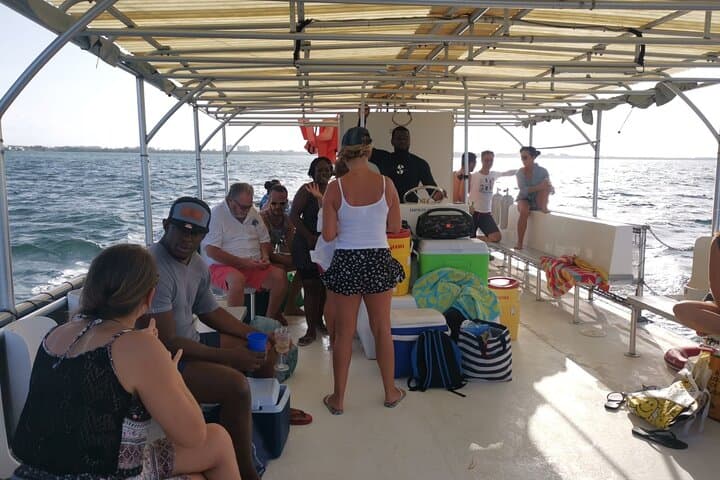 Grand Cayman Bioluminescent Bay Night Swim: Starfish Point Boat Tour photo 1