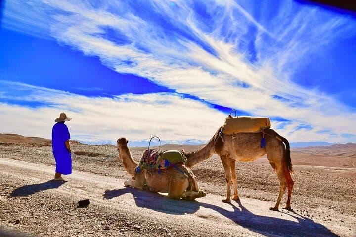 Sunset Camel Ride in Agafay Desert from Marrakech: 1‑Hour Camel Trek & Mint Tea photo 5
