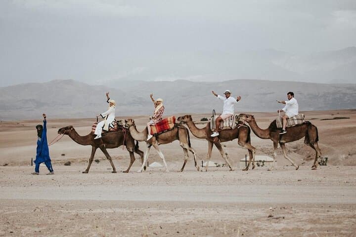 Agafay Desert Sunset Camel Ride, Argan Cooperative Visit & Berber Dinner from Marrakech