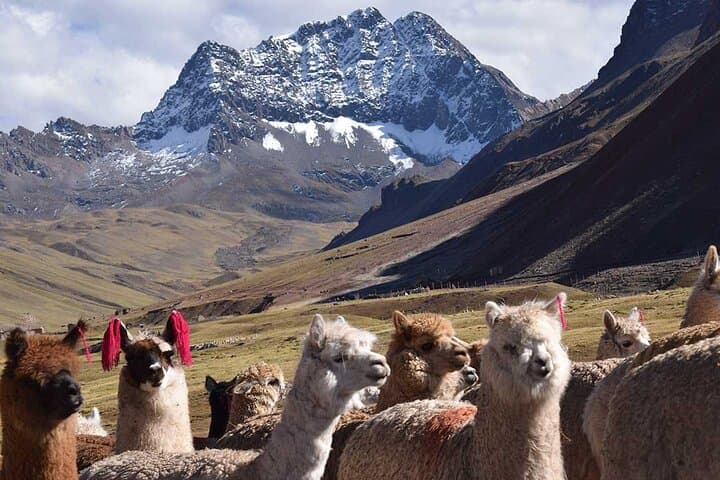 Rainbow Mountain Day Hike from Cusco: What to Expect on the Vinicunca Trek photo 5
