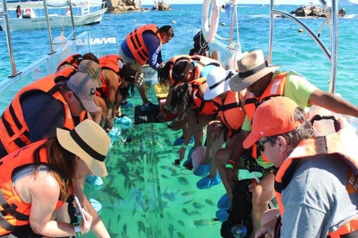 Clear-Boat Tour at El Arco: See Cabo San Lucas from a Transparent Vessel photo 3
