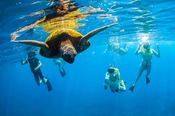 Kauai South Shore Zodiac Snorkel Adventure: Turtles, Reefs & Dolphins photo 1