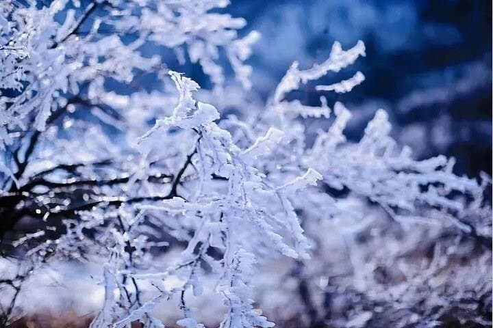 Heaven's Lake Hike — Wuyue Ancient Trail to Tianchi (1-Day, Anhui) photo 4