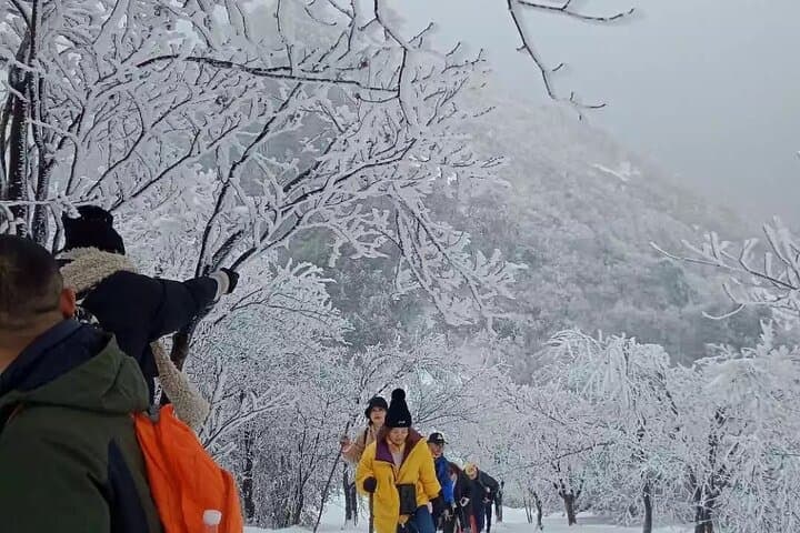 Heaven's Lake Hike — Wuyue Ancient Trail to Tianchi (1-Day, Anhui) photo 3