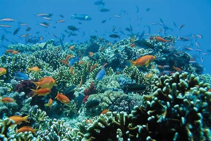 Private Waterfall and Blue Lagoon Snorkeling Tour in Padang Bai photo 5