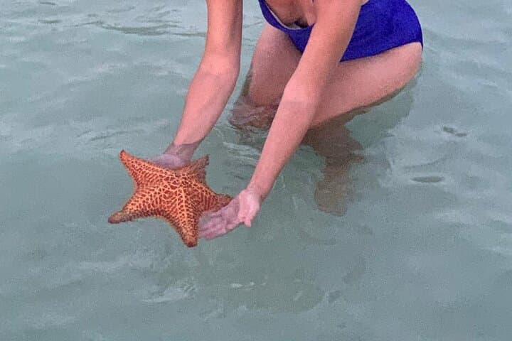 Grand Cayman Bioluminescent Bay Night Swim: Starfish Point Boat Tour photo 4