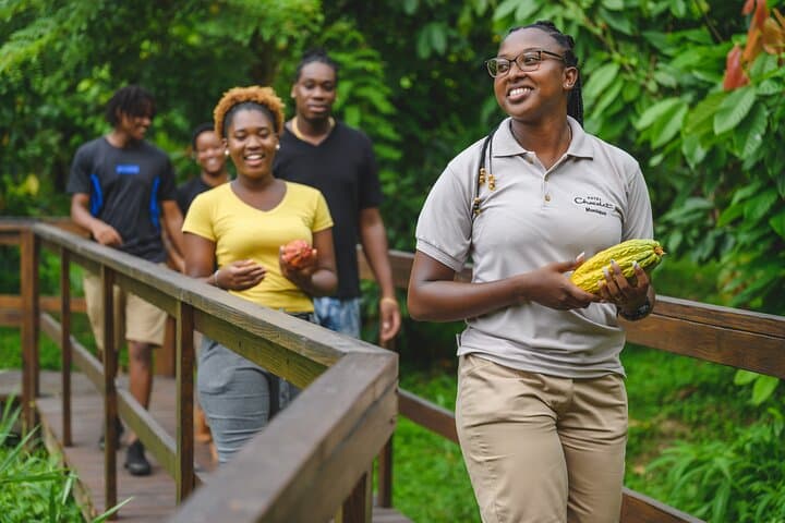 Rabot Estate Tree-to-Bar Chocolate Tour — Project Chocolat, Saint Lucia photo 5