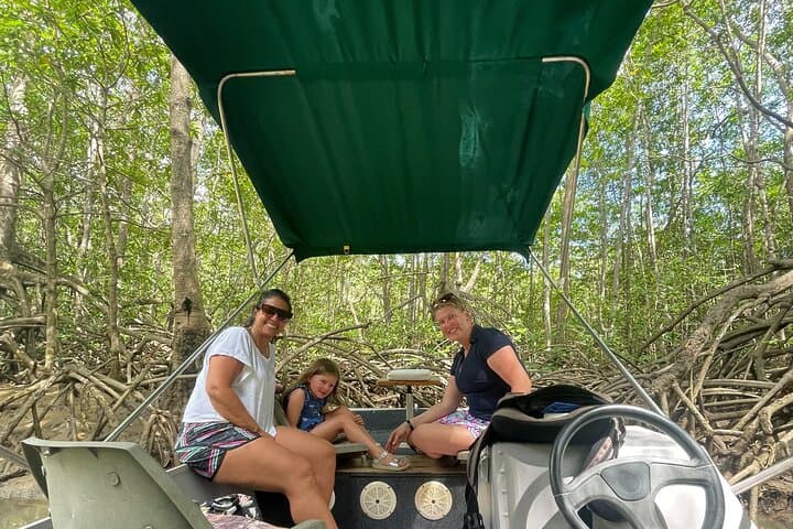 Mangrove Boat Tour to Isla Damas — Quepos Mangrove Wildlife Cruise photo 3