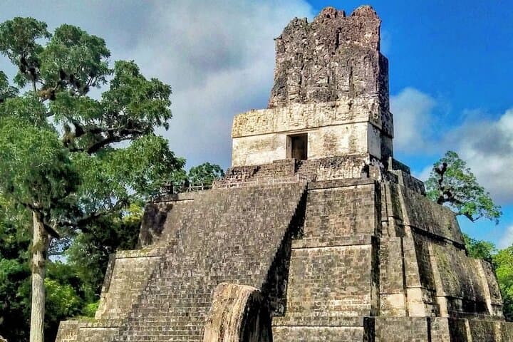 Sunrise at Tikal: Private Dawn Tour from Flores photo 6