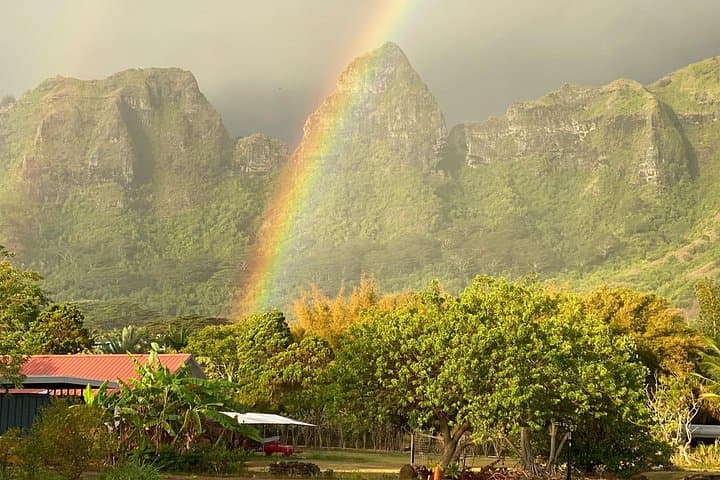 East Side to North Shore: Private Kauai Guided Tour of Waterfalls, Beaches & Lighthouse photo 2