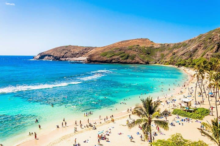 Private Oahu Island Tour: Custom Waikiki to North Shore Adventure photo 3