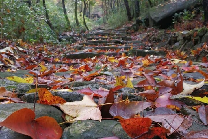 Huangnan Old Road Fall Foliage Hike — 1-Day Tiantai Trail from Hangzhou photo 3