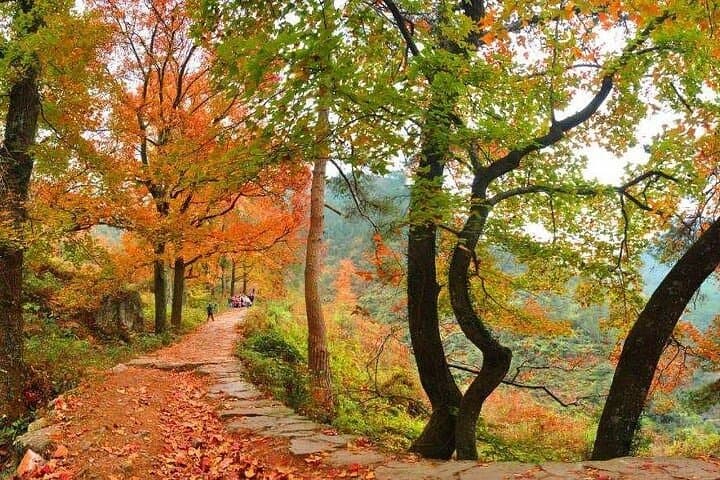 Huangnan Old Road Fall Foliage Hike — 1-Day Tiantai Trail from Hangzhou photo 4