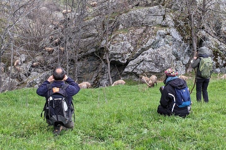Lanzo Valleys Full-Day Private Hiking Excursion: Rifugio Gastaldi & Alpine Views photo 4
