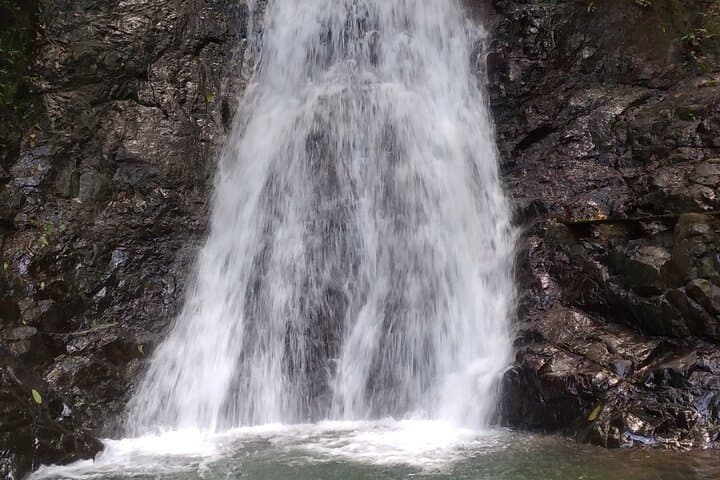 Jaco 10-Waterfall Hike at Finca los Solís — Rainforest Pools & Costa Rican Lunch photo 6