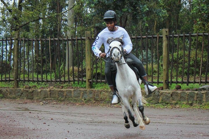Addis Ababa Layover: 5-Hour Entoto, National Museum & Merkato Tour photo 4