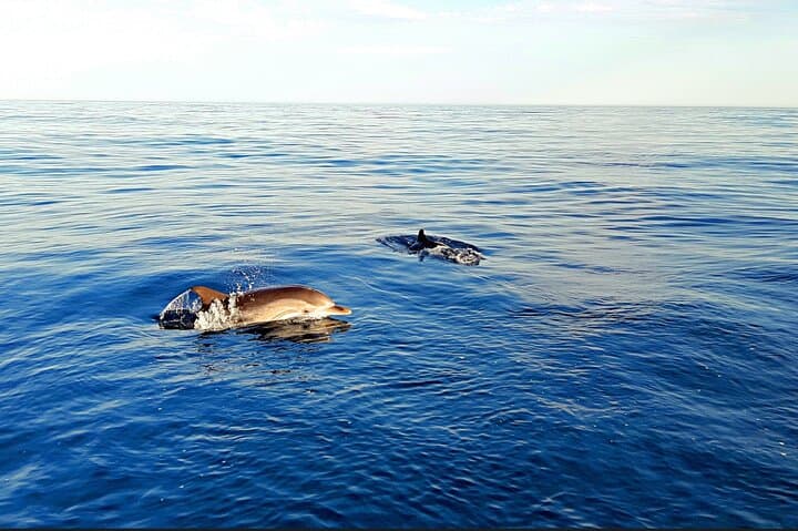 Taormina Sunset Aperitif: Evening Boat Cruise to Isola Bella with Snorkel & Prosecco photo 5