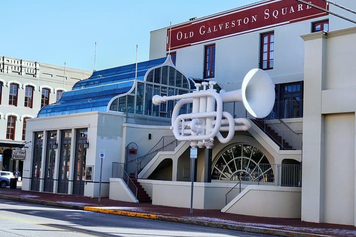 Galveston Day Trip from Houston: Tall Ship Elissa, Dolphin Harbor Cruise & Historic Sights photo 2
