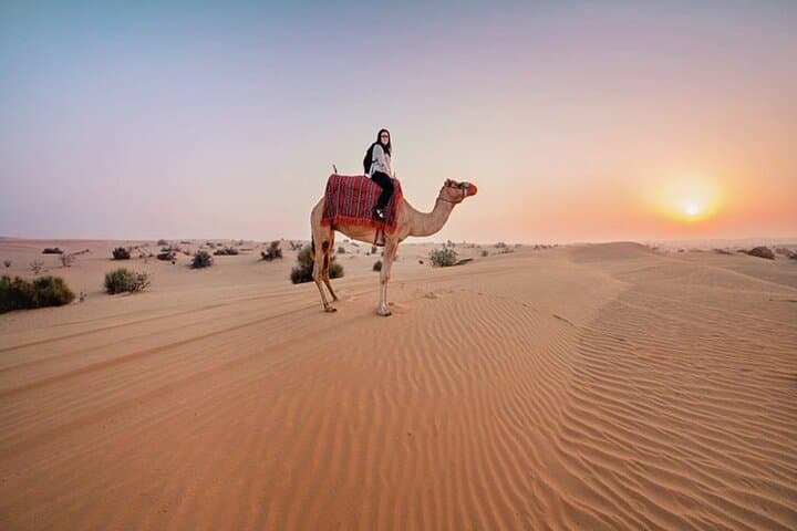 Dubai Red Sand Desert Adventure: Dune Bashing, Camel Rides & Sunset BBQ photo 4