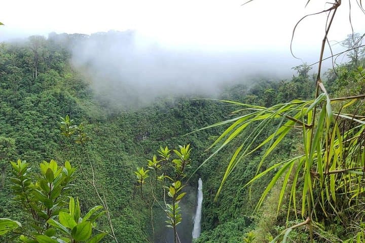 Full-Day Vara Blanca Hike to La Paz Waterfalls — Costa Rica photo 1
