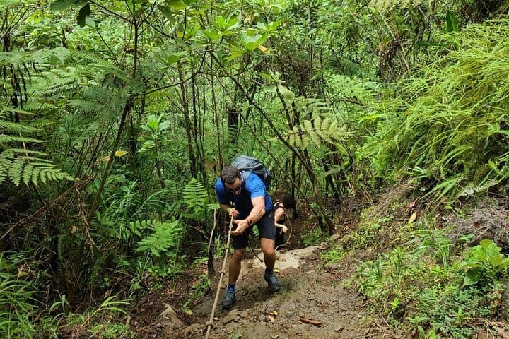 Full-Day Vara Blanca Hike to La Paz Waterfalls — Costa Rica photo 3