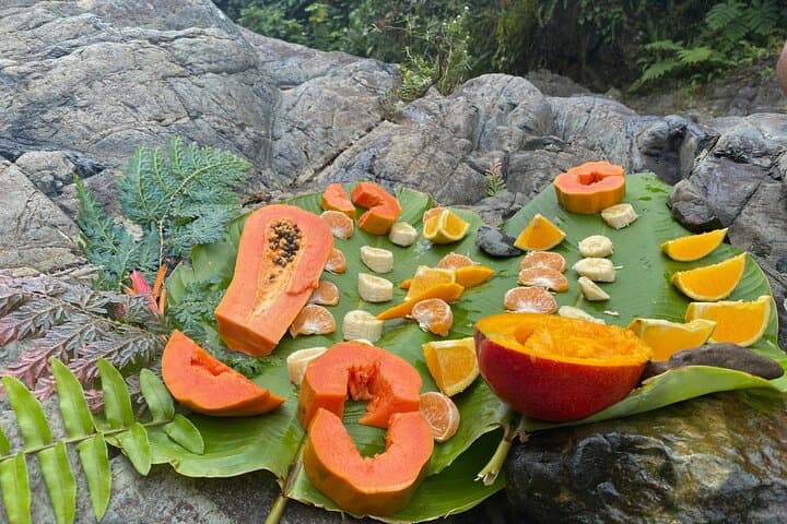 El Yunque Guided Waterfall Hike & Natural Pools (with Transport from San Juan) photo 6