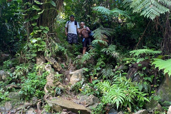 El Yunque Guided Waterfall Hike & Natural Pools (with Transport from San Juan) photo 5