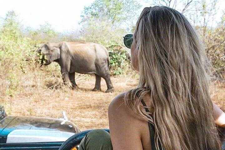 Udawalawe National Park Safari: Full-Day Wildlife Drive from Unawatuna to Ella