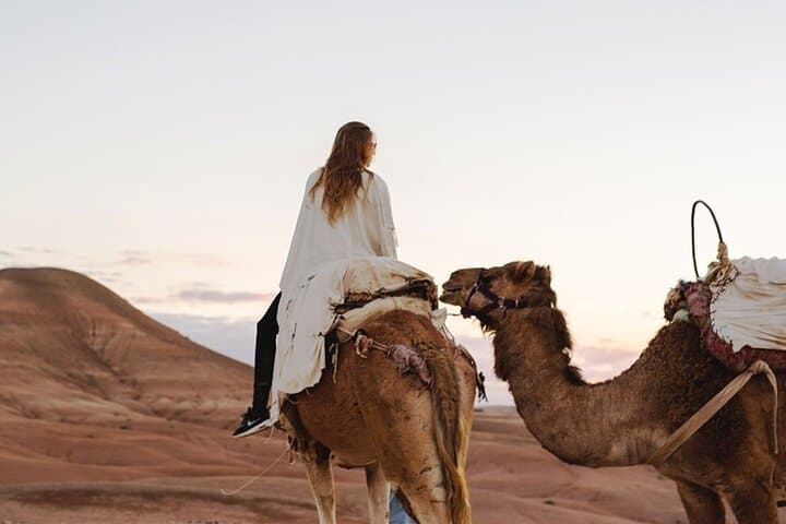 Sunset Camels & Quad Trails: 5-Hour Agafay Desert Private Tour from Marrakech