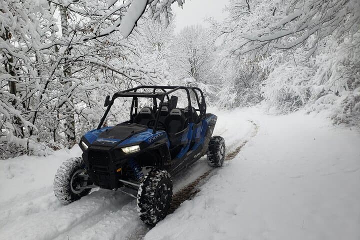 Private 1-Hour Quad & Buggy Safari in Borovets — Rila Mountains Off-Road Adventure photo 4