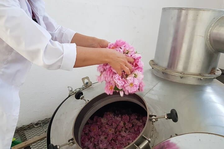 Private Rose Picking in Vrav along the Danube — Guided Rose Oil Experience