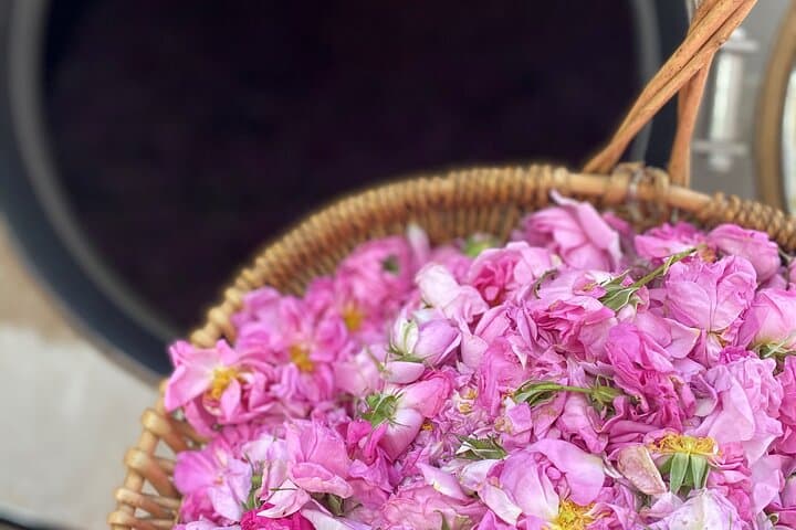Private Rose Picking in Vrav along the Danube — Guided Rose Oil Experience photo 2