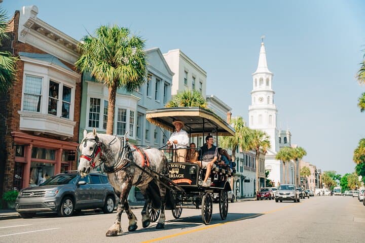 Charleston Old South Carriage: 1‑Hour Historic Horse & Carriage Tour photo 1