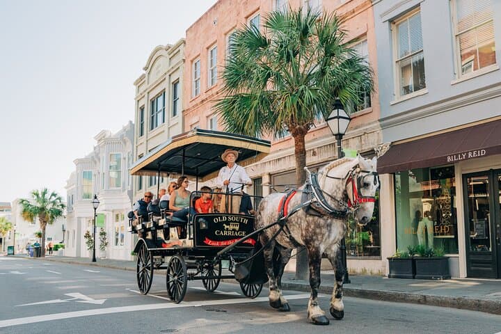 Charleston Old South Carriage: 1‑Hour Historic Horse & Carriage Tour photo 2