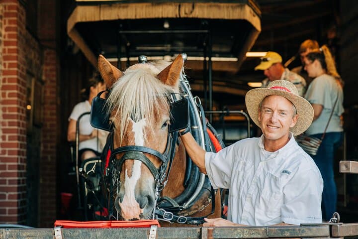 Charleston Old South Carriage: 1‑Hour Historic Horse & Carriage Tour photo 3
