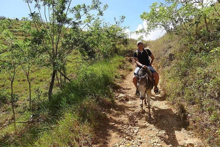 Horseback to Salto El Limón: Half-Day Jungle Ride to Samaná's Waterfall photo 4