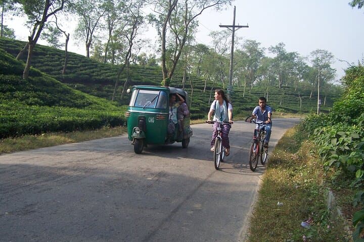 4-Day Srimangal Adventure: Cycling Tea Estates, Lawachara & Baikka Beel photo 5