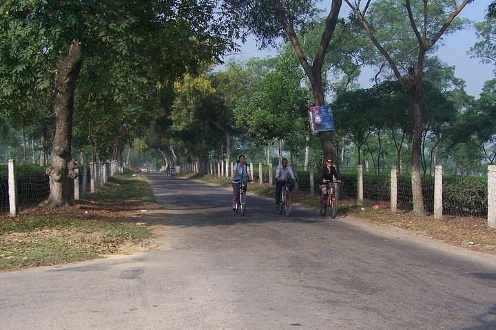 4-Day Srimangal Adventure: Cycling Tea Estates, Lawachara & Baikka Beel photo 4