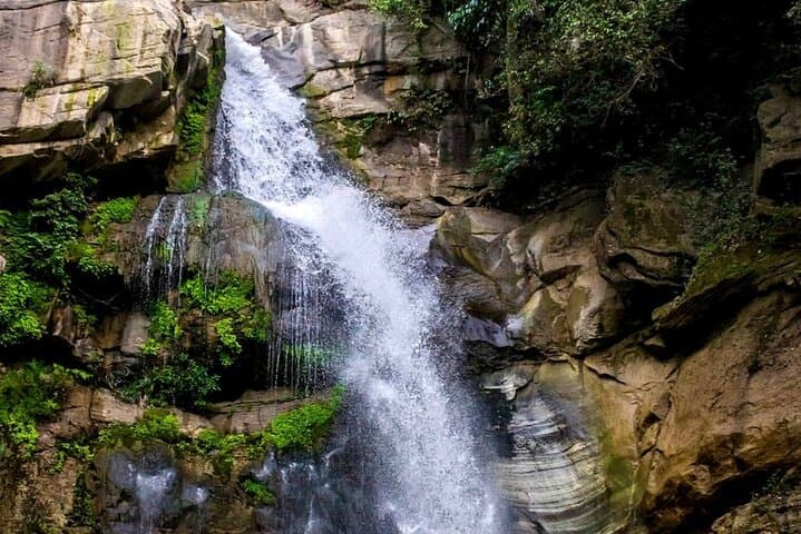 Kandy to Yala Safari and Mirissa Drop: One-Day Wildlife & Beach Adventure photo 3