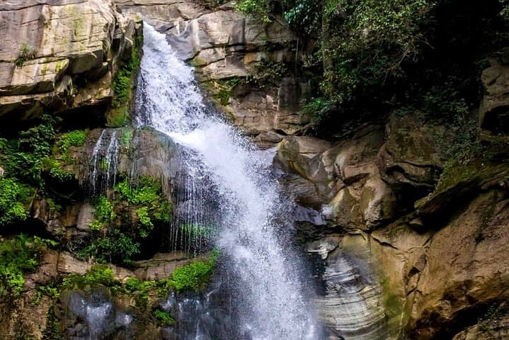 Kandy to Ella Scenic Train: A Full-Day Private Journey Through Sri Lanka’s Hill Country photo 3