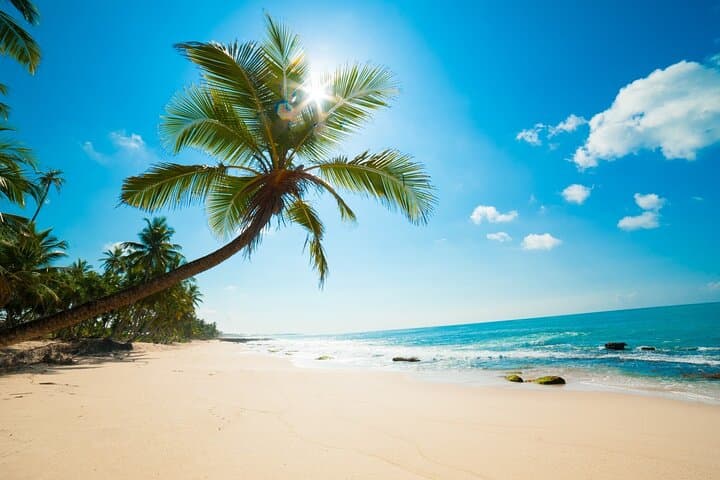12-Day Sri Lanka Experience: Sigiriya, Hill Country & South Coast Private Tour