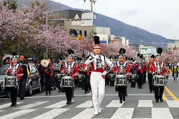 Chasing Jinhae’s Cherry Blossoms: Full-Day Private Tour from Busan photo 3