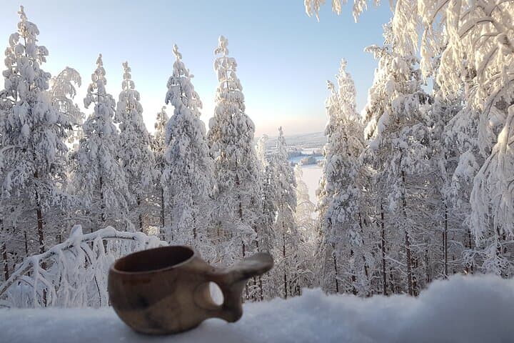 Winter Forest Sledge Ride in Finland: Snowmobile-Led Lakeland Adventure photo 2
