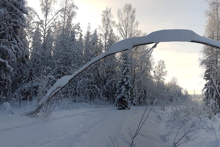 Winter Forest Sledge Ride in Finland: Snowmobile-Led Lakeland Adventure photo 4