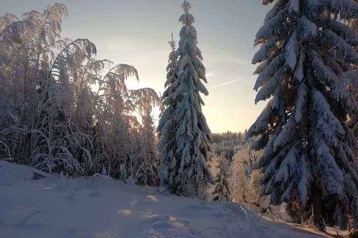 Winter Forest Sledge Ride in Finland: Snowmobile-Led Lakeland Adventure photo 5